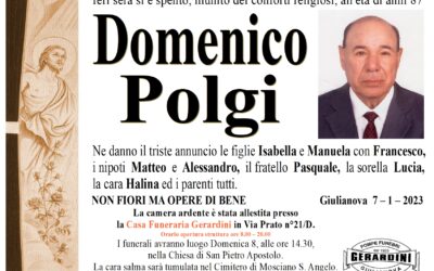 DOMENICO POLGI