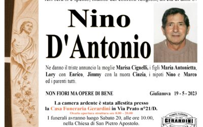 NINO D’ANTONIO