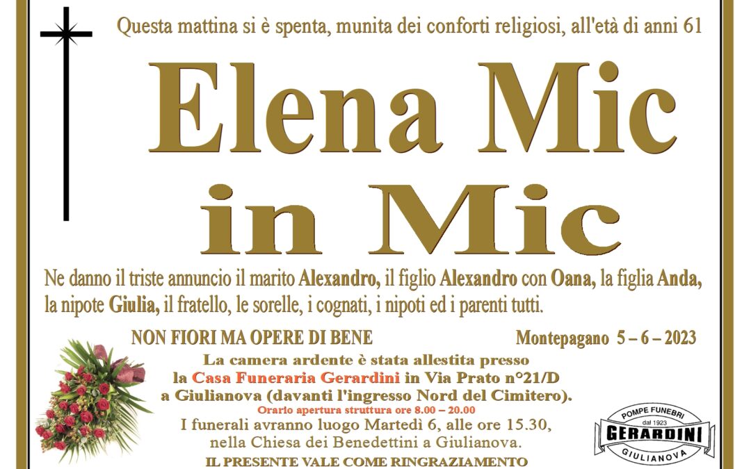ELENA MIC IN MIC