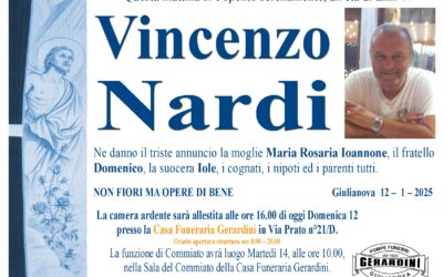 VINCENZO NARDI