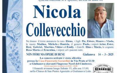 NICOLA COLLEVECCHIO