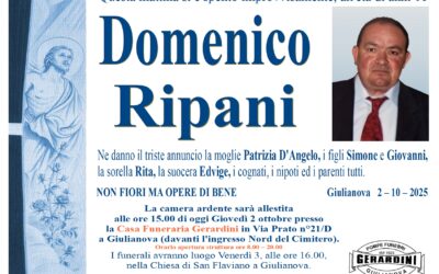 DOMENICO RIPANI